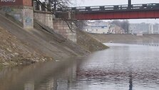 Patvinęs Nemunas Kaune
