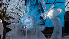 Festivalio &bdquo;Ice on Whyte&ldquo; dalyvių skulptūros