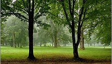 Plungės dvaro parkas