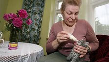 Užmu&scaron;tos katės jaunikliais, kuriems dar būtina nuolatinė priežiūra, &scaron;iuo metu pakaitomis rūpinasi visa Irenos &scaron;eima. Nuotraukoje &ndash; jos sesuo Raimonda, padedanti maitinti jauniklius. 