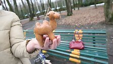 Zoologijos sode esančius suoliukus jaunimas ketina paversti žaismingesniais