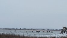 Manto Žalkausko kelionės akimirka