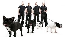 Vieni i&scaron; festivalio svečių - Don Johnson Big Band, prie&scaron; keletą metų jau groję Kaune.