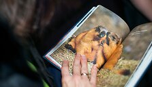 Sauliaus Damulevičiaus ekspedicijų bei knygos pristatymas Vilniuje ir Kaune