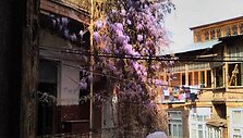 A.Vienuolio namas Tbilisyje
