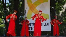 Ankstesnio festivalio akimirka.