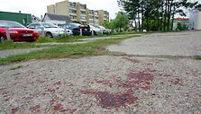 Mu&scaron;tynių pėdsakai buvo dar matyti ir sekmadienį.