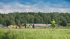Bėgimas gamtoje &bdquo;Laukinis trail turas 2016&ldquo;