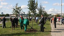 Kostiumuoti &bdquo;Investuotojų forumo&ldquo; nariai vakar prie Baltojo tilto sodino liepaičių alėją.