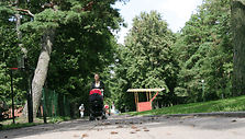 Meilės alėją labiausiai pamėgo įsimylėjėliai bei ramybės trok&scaron;tantys poilsiautojai. 