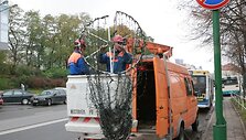 Pernai Klaipėda taip pat buvo pradėta puo&scaron;ti lapkritį. 