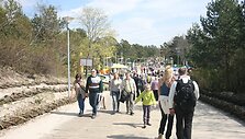 Palanga penktadienį atidaro sezoną. 