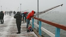 Žvejai jau treniruojasi stintų gaudymo rungčiai. 