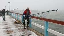 Žvejai nuo Palangos tilto stintas traukia tinkliniais samčiais, dar vadinamais keseliais.