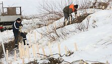 Palangoje kopos intensyviai tvirtinamos žabvorėmis. 