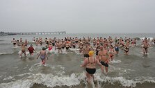 Ruonių maudynės Baltijos jūroje