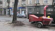 Klaipėdos savivaldybė medžių kirtimui ir genėjimui &scaron;iais metais yra numačiusi skirti 53,5 tūkst. Lt.
