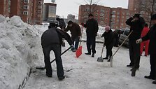 Nidos gatvės 1 b namo gyventojai buvo itin vieningi: į kiemą i&scaron;ėjo daugiau nei pusės butų gyventojai.