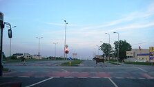 Briedžių porelė trečiadienio vakarą perbėgo Kretingos gatvės ir &Scaron;iaurinio prospekto sankryžą. 