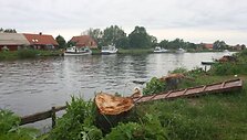 Anot senųjų kaimo gyventojų, dalis nukirstų medžių buvo menkaverčiai.