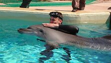 I&scaron; Klaipėdos kartu su delfinais į Graikiją atkeliavę treneriai rūpinasi savo augintiniais.