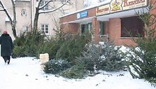 Trečiadienį eglutėmis imta prekiauti ir miesto centre. 