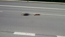 Klaipėdoje vienas po kito atveriami kanalizacijos &scaron;uliniai. Apie atvirą &scaron;ulinį Uosto gatvėje, ties &bdquo;Klasco&ldquo; prane&scaron;ė 15min.lt skaitytojas.  