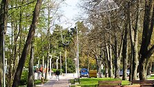 Meilės alėjoje i&scaron;kabinti nauji papuo&scaron;imai - &scaron;viečiantys skėčiai. 