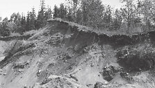 Stirbaičių piliakalnio liekanos i&scaron; pietvakarių pusės 1972 m. 