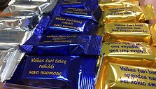Vaiko teisių apsaugos ir įvaikinimo tarnyba