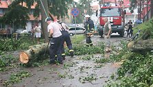 I&scaron;versti medžiai operatyviai &scaron;alinti ugniagesių.