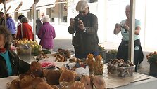 Lietuvos mi&scaron;kuoe surinkti grybai Klaipėdos Senajame turguje labiausiai domina turistus. Nematytus vaizdus jie skuba įamžinti fotoaparatais.