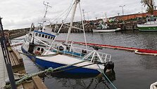 IMG_1585