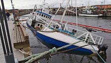 IMG_1586