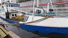 IMG_1584