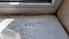 Greta uosto gyvenantis klaipėčiai vėl skundžiasi apdulkėjusiomis palangėmis. &Scaron;į kartą &ndash; Smeltės kvartale 2021 m. Liepos 30 d. 