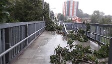 Nulaužtos medžių &scaron;akos ant pėsčiųjų tilto Klaipėdoje