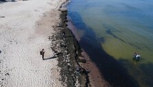 &Scaron;iuk&scaron;lių kiekis, randamas Lietuvos pajūryje, 7 kartus vir&scaron;ija europinę normą.