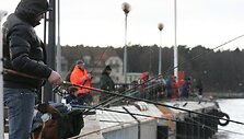 Pasirodžiusios pirmosios stintos sutraukė žvejus į Kruizinių laivų terminalą. 