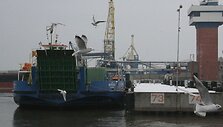 "Smiltynės perkėlos" keltų darbininkai uosto akvatorijoje sekmadienio rytą užfiksavo 19 m/s vėjo greitį.