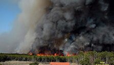 2006-aisiais siautęs Smiltynės gaisras pramintas amžiaus gaisru. I&scaron;degė 235 ha mi&scaron;ko ploto.
