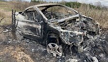 Prie Radailių &scaron;altinio naktį sudegė automobilis