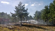 Smiltynėje pirmadienio popietę užsidegė mi&scaron;kas. I&scaron; viso i&scaron;degė apie 30 arų mi&scaron;ko paklotės. 
