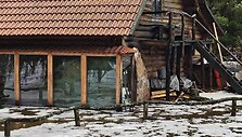 Tvinstantis &bdquo;Vienkiemis&ldquo; Kretingos rajone.