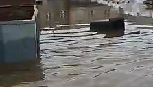 uzlieta-milviteka-macuiciu-kaime-klaipedos-rajone