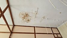 Klaipėdos istorinis pa&scaron;tas laukia atgimimo