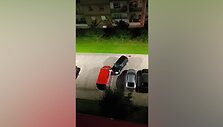 pabego