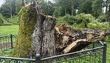 Vėjo neatlaikė saugotinu laikytas Salantų ka&scaron;tonas