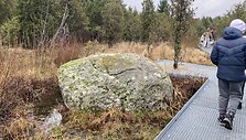 &Scaron;auklių riedulynas - kadagynas