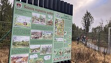 &Scaron;auklių riedulynas - kadagynas